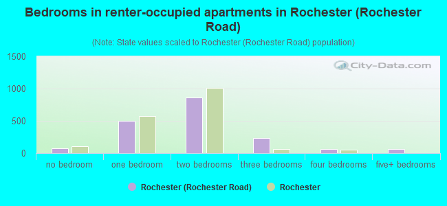 Bedrooms in renter-occupied apartments in Rochester (Rochester Road)