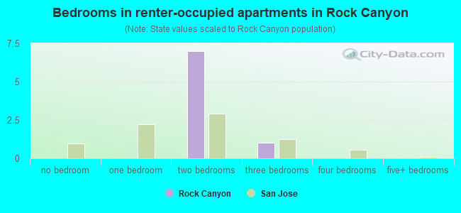 Bedrooms in renter-occupied apartments in Rock Canyon