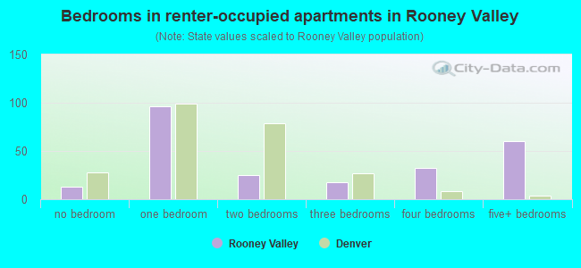 Bedrooms in renter-occupied apartments in Rooney Valley