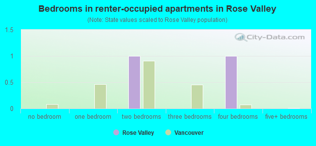 Bedrooms in renter-occupied apartments in Rose Valley