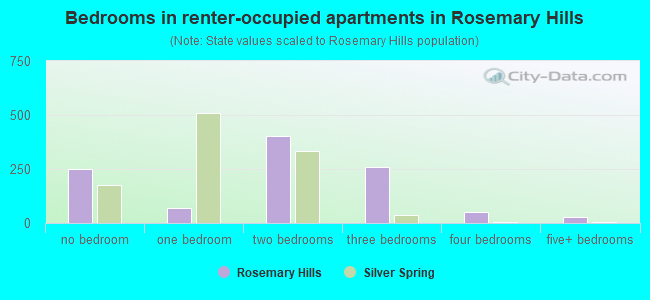 Bedrooms in renter-occupied apartments in Rosemary Hills