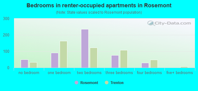 Bedrooms in renter-occupied apartments in Rosemont