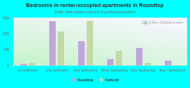 Bedrooms in renter-occupied apartments in Roundtop