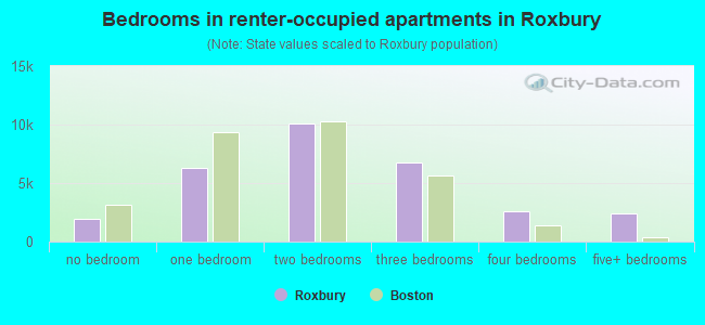 Bedrooms in renter-occupied apartments in Roxbury