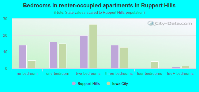 Bedrooms in renter-occupied apartments in Ruppert Hills