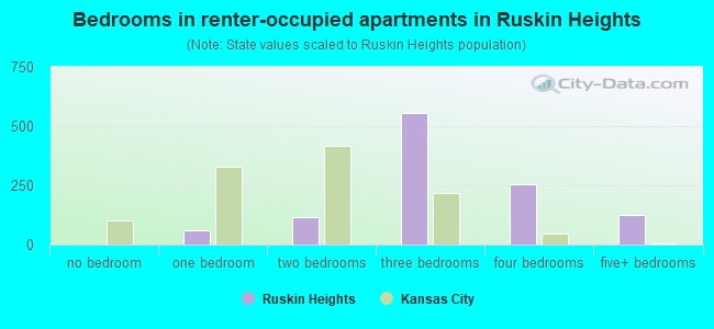 Bedrooms in renter-occupied apartments in Ruskin Heights