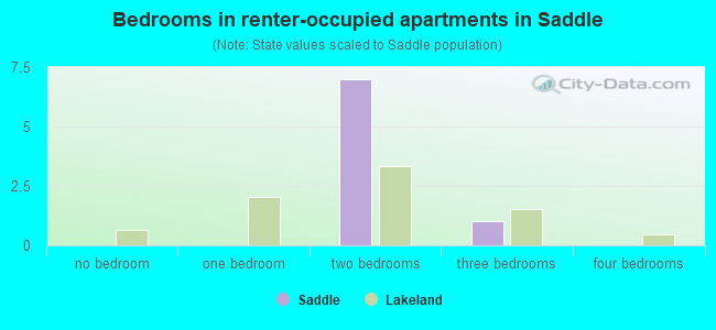 Bedrooms in renter-occupied apartments in Saddle