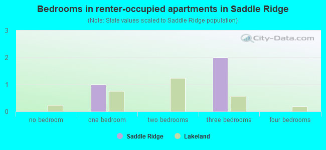 Bedrooms in renter-occupied apartments in Saddle Ridge