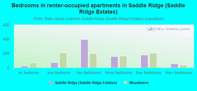 Bedrooms in renter-occupied apartments in Saddle Ridge (Saddle Ridge Estates)