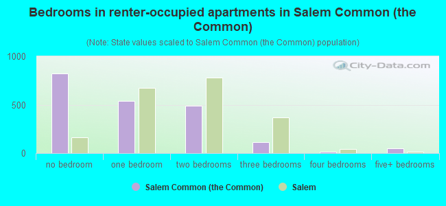 Bedrooms in renter-occupied apartments in Salem Common (the Common)