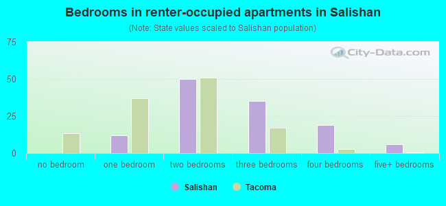 Bedrooms in renter-occupied apartments in Salishan