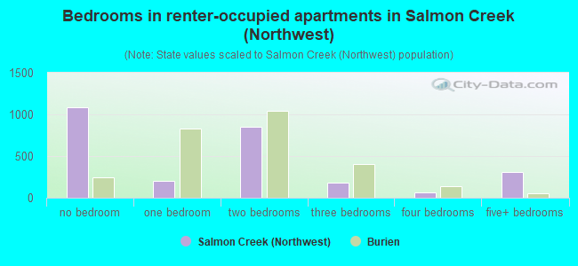 Bedrooms in renter-occupied apartments in Salmon Creek (Northwest)