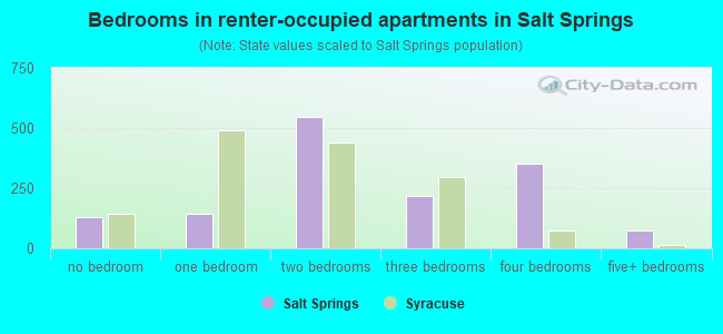 Bedrooms in renter-occupied apartments in Salt Springs