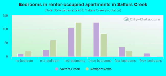 Bedrooms in renter-occupied apartments in Salters Creek