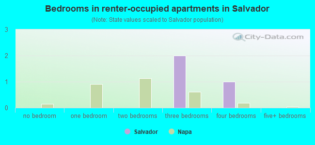 Bedrooms in renter-occupied apartments in Salvador