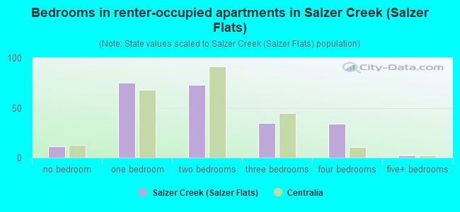 Bedrooms in renter-occupied apartments in Salzer Creek (Salzer Flats)