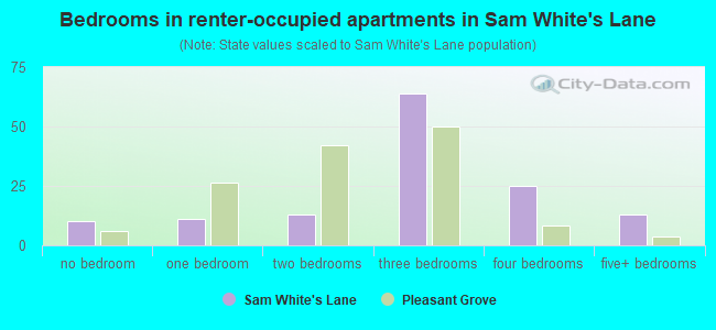 Bedrooms in renter-occupied apartments in Sam White's Lane