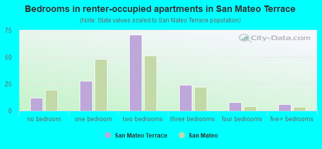 Bedrooms in renter-occupied apartments in San Mateo Terrace