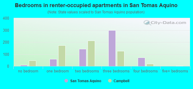 Bedrooms in renter-occupied apartments in San Tomas Aquino