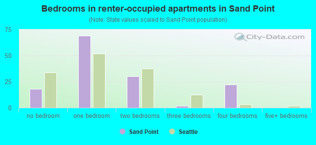 Bedrooms in renter-occupied apartments in Sand Point