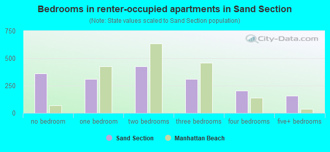 Bedrooms in renter-occupied apartments in Sand Section