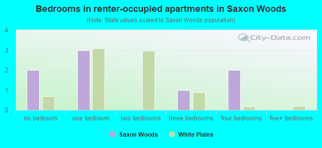 Bedrooms in renter-occupied apartments in Saxon Woods