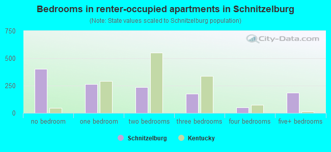 Bedrooms in renter-occupied apartments in Schnitzelburg