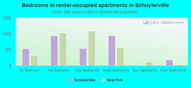 Bedrooms in renter-occupied apartments in Schuylerville