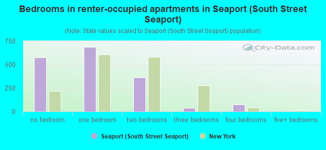 Bedrooms in renter-occupied apartments in Seaport (South Street Seaport)
