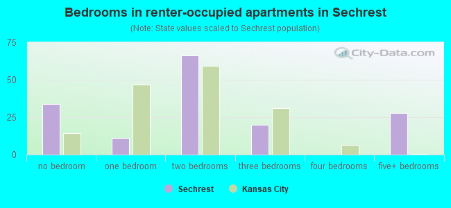 Bedrooms in renter-occupied apartments in Sechrest