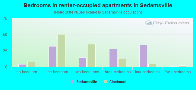 Bedrooms in renter-occupied apartments in Sedamsville