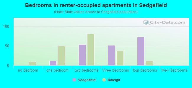 Bedrooms in renter-occupied apartments in Sedgefield