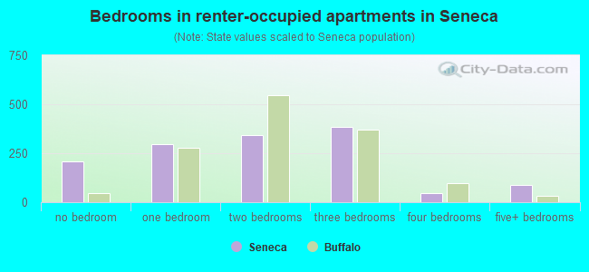 Bedrooms in renter-occupied apartments in Seneca