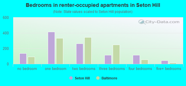 Bedrooms in renter-occupied apartments in Seton Hill