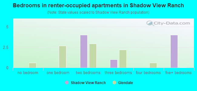 Bedrooms in renter-occupied apartments in Shadow View Ranch