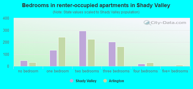 Bedrooms in renter-occupied apartments in Shady Valley