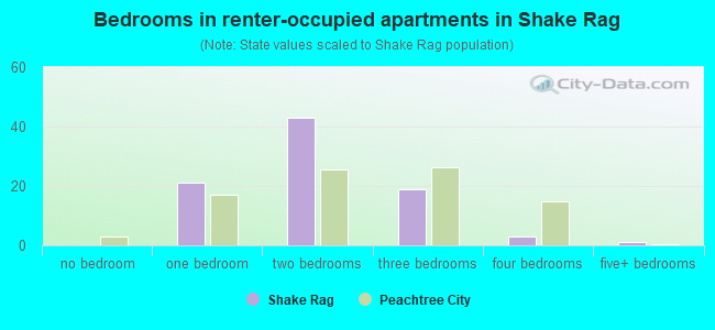 Bedrooms in renter-occupied apartments in Shake Rag