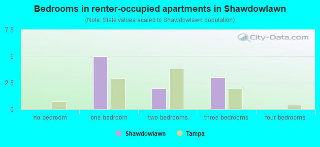 Bedrooms in renter-occupied apartments in Shawdowlawn