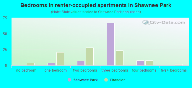Bedrooms in renter-occupied apartments in Shawnee Park