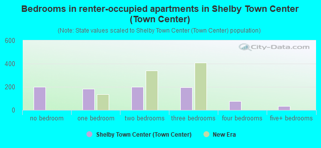 Bedrooms in renter-occupied apartments in Shelby Town Center (Town Center)