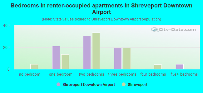 Bedrooms in renter-occupied apartments in Shreveport Downtown Airport