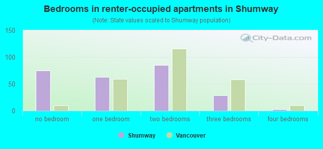 Bedrooms in renter-occupied apartments in Shumway