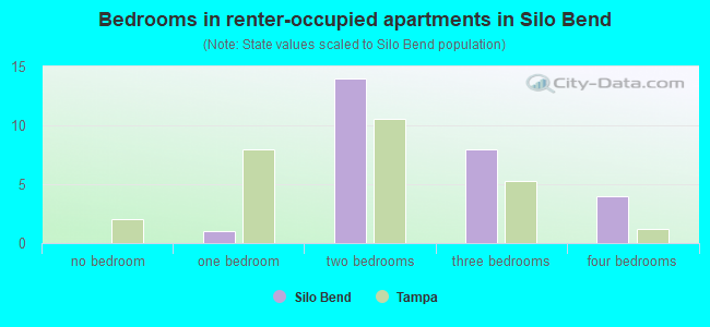 Bedrooms in renter-occupied apartments in Silo Bend
