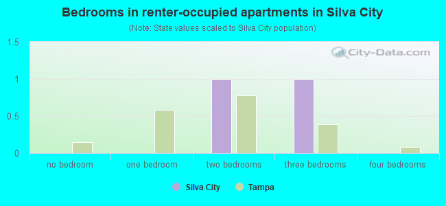 Bedrooms in renter-occupied apartments in Silva City
