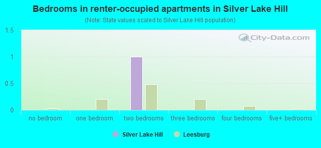 Bedrooms in renter-occupied apartments in Silver Lake Hill