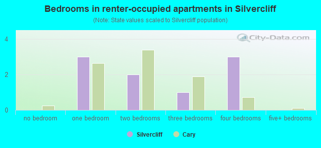Bedrooms in renter-occupied apartments in Silvercliff