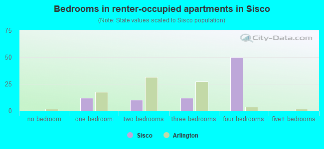 Bedrooms in renter-occupied apartments in Sisco