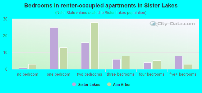 Bedrooms in renter-occupied apartments in Sister Lakes