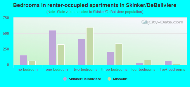 Bedrooms in renter-occupied apartments in Skinker/DeBaliviere