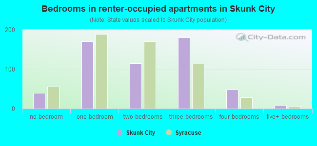 Bedrooms in renter-occupied apartments in Skunk City
